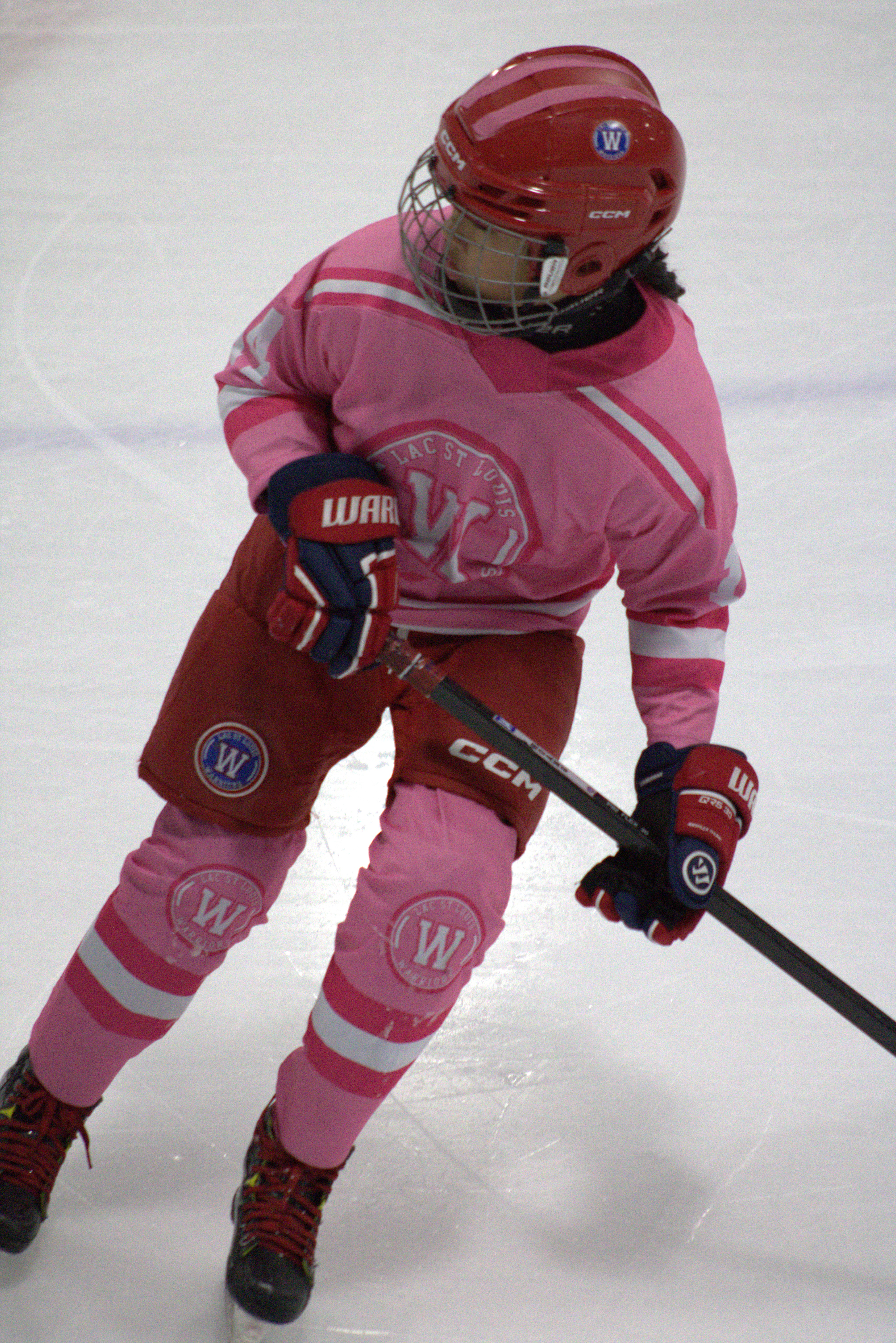 Pink in the Rink photo 14