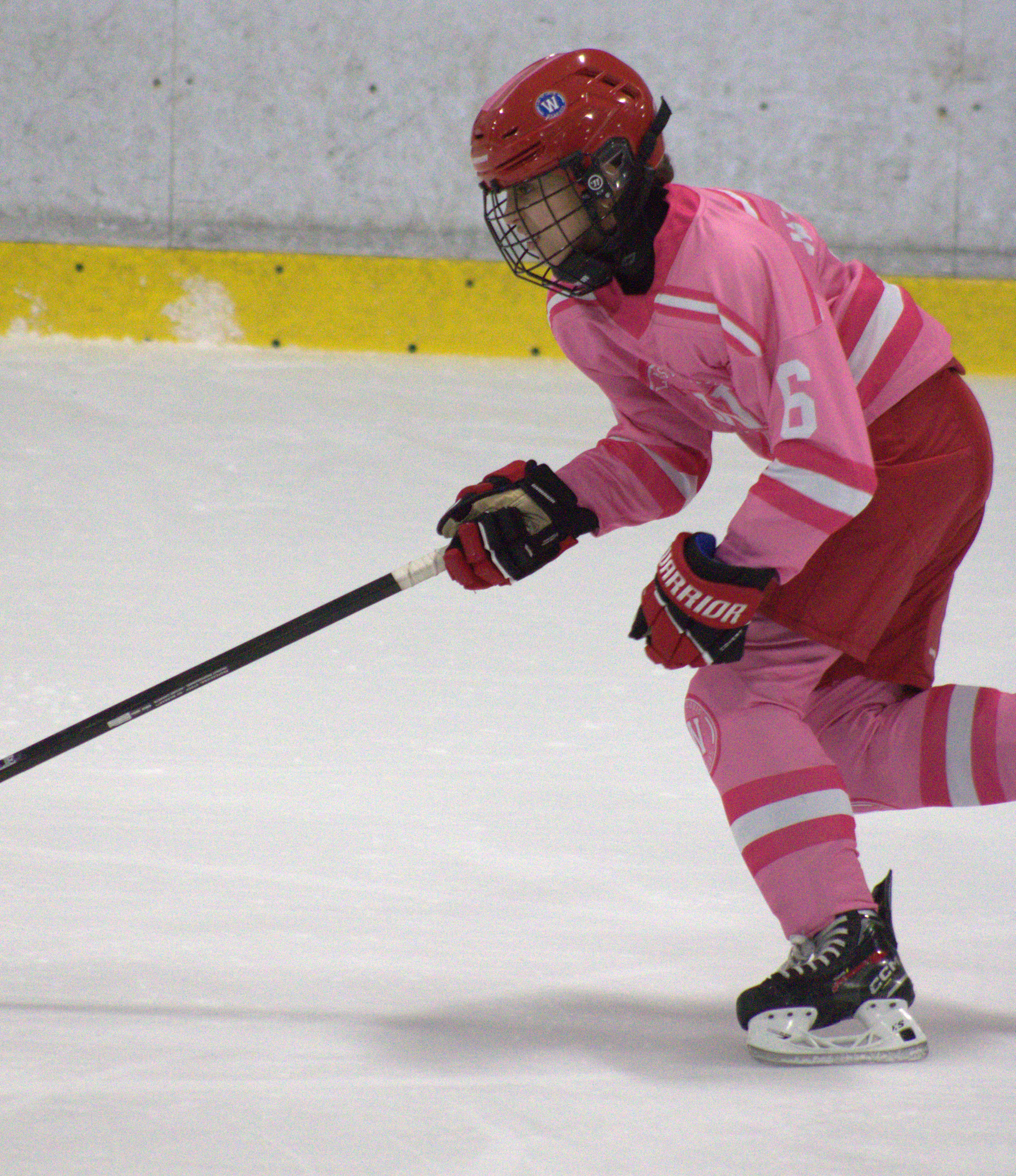 Pink in the Rink photo 15