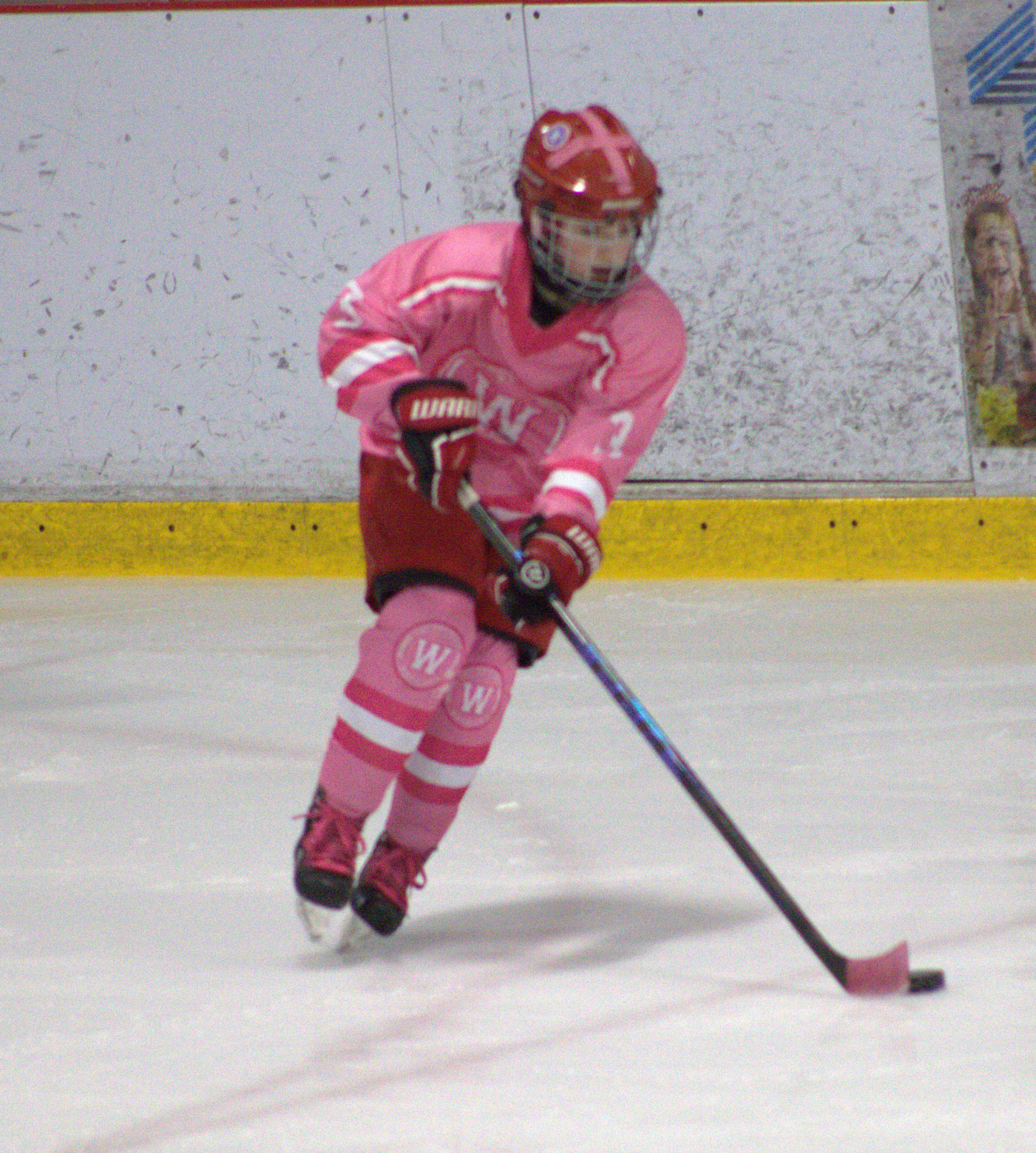 Pink in the Rink photo 19