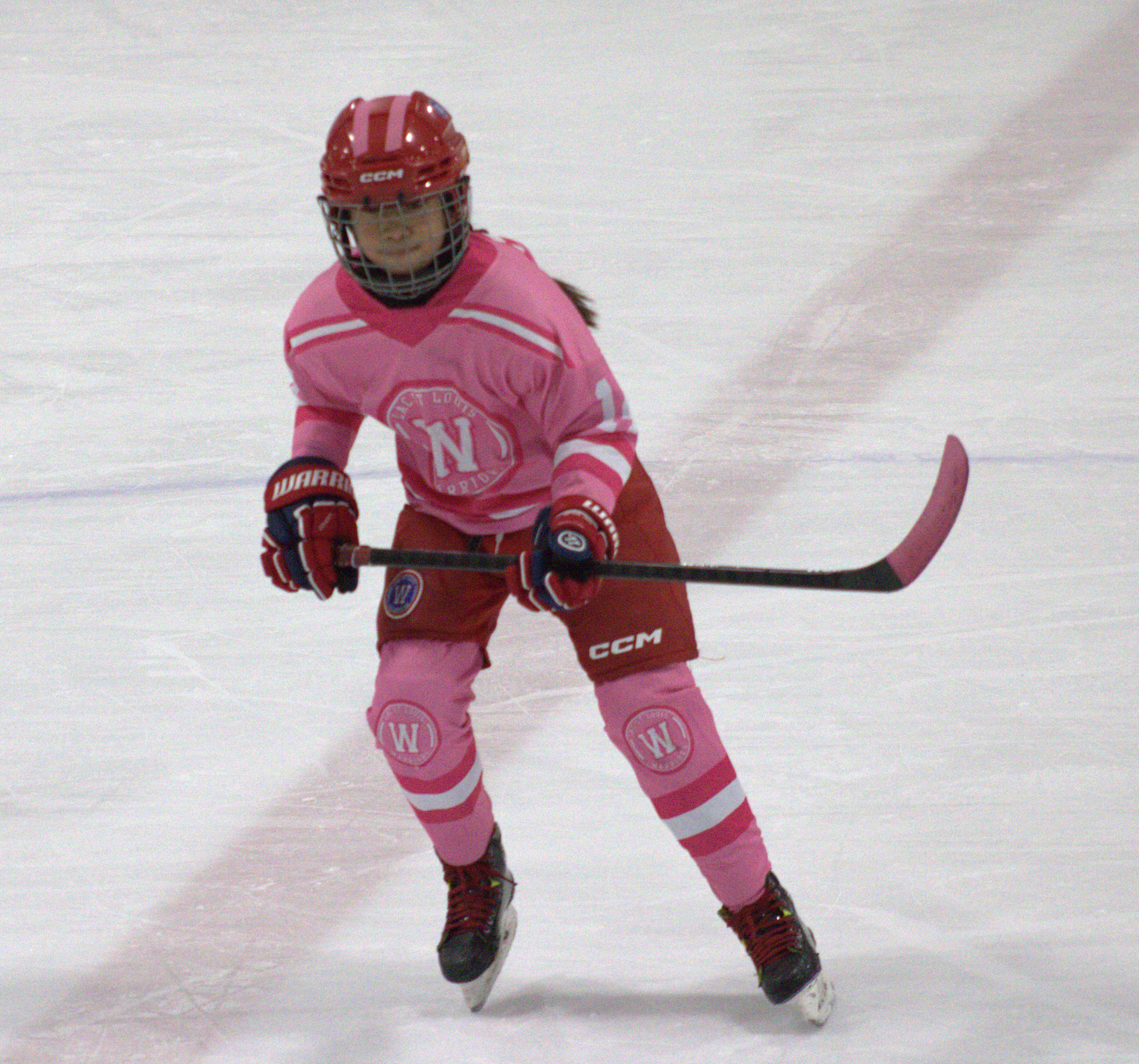 Pink in the Rink photo 20