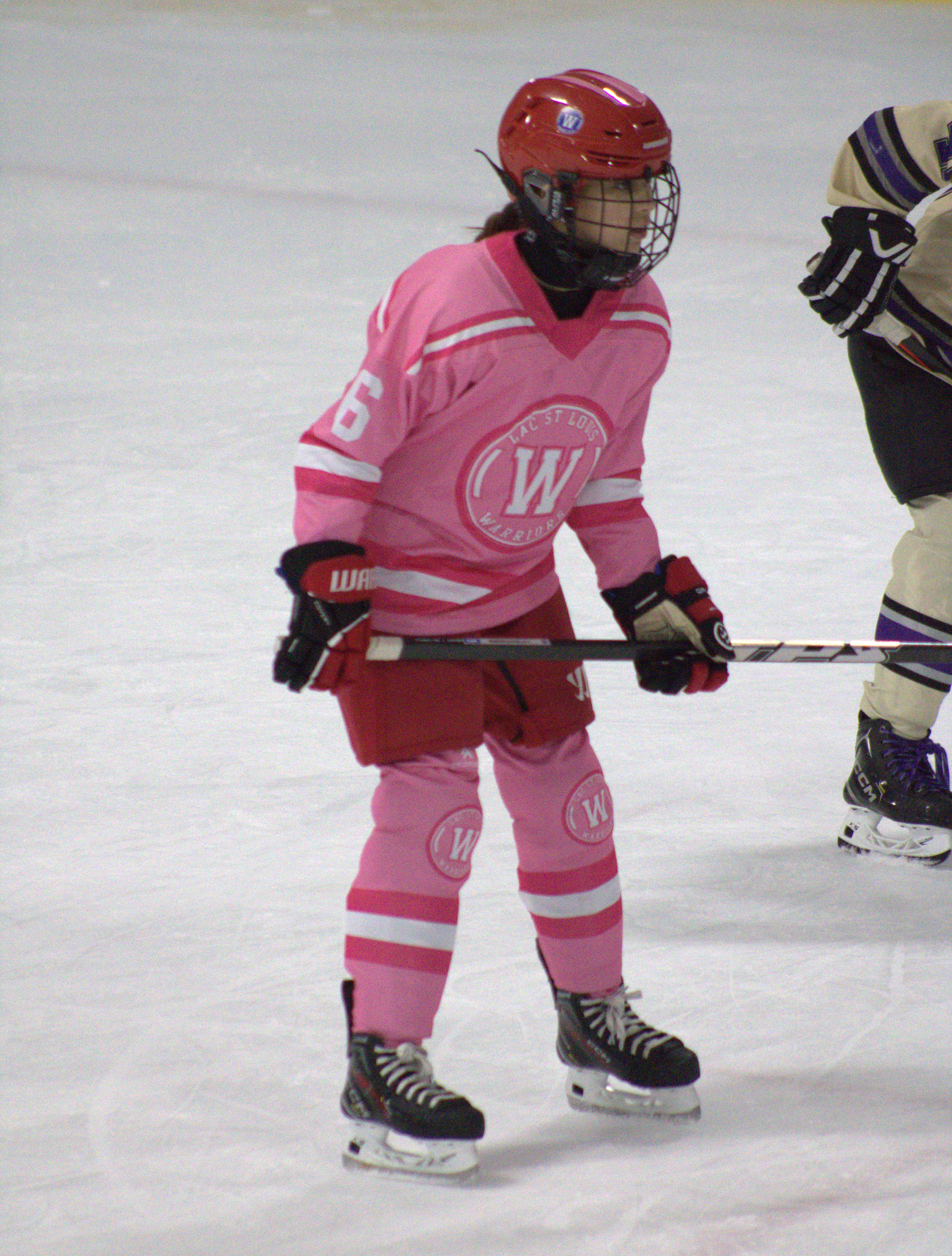 Pink in the Rink photo 21