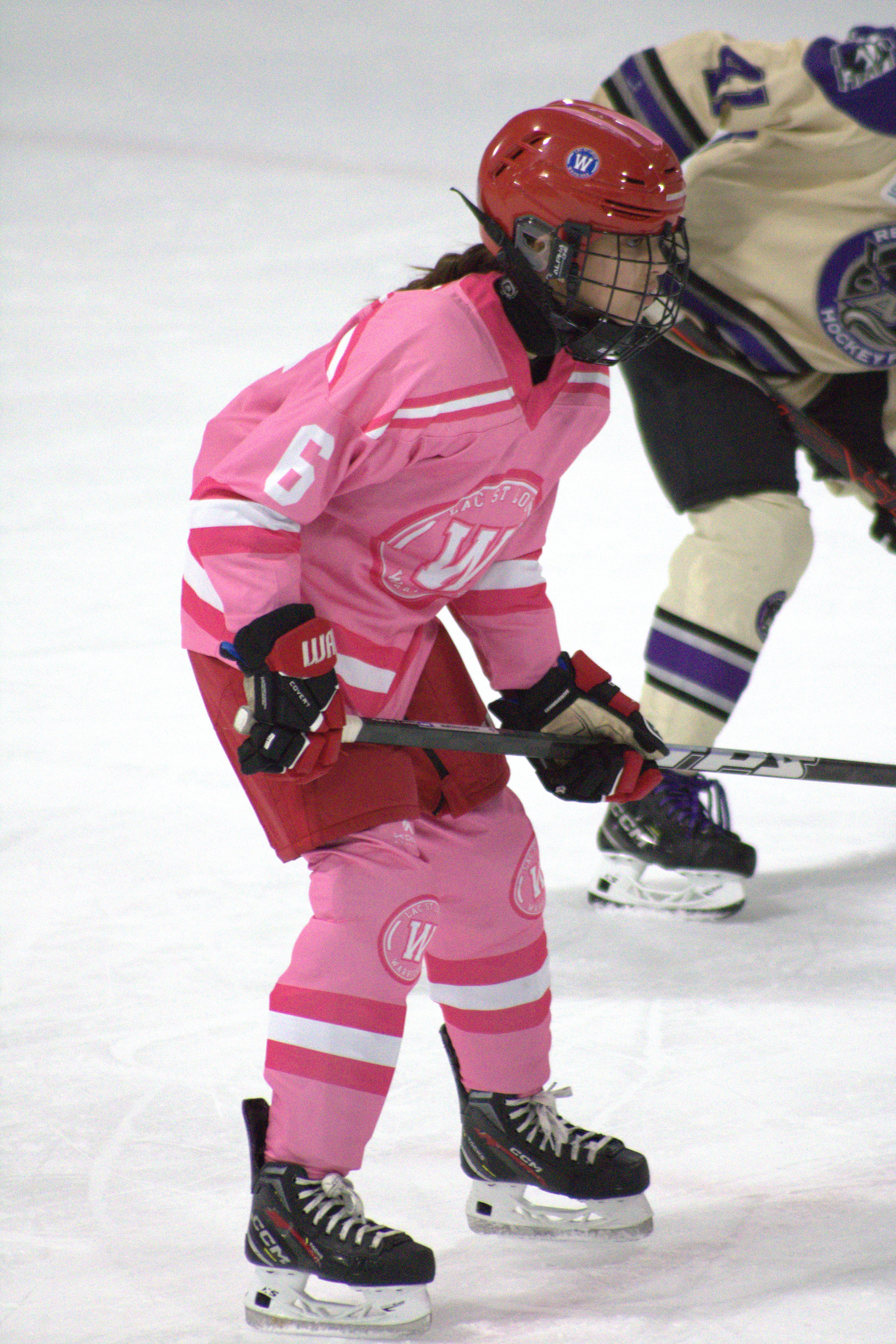 Pink in the Rink photo 22