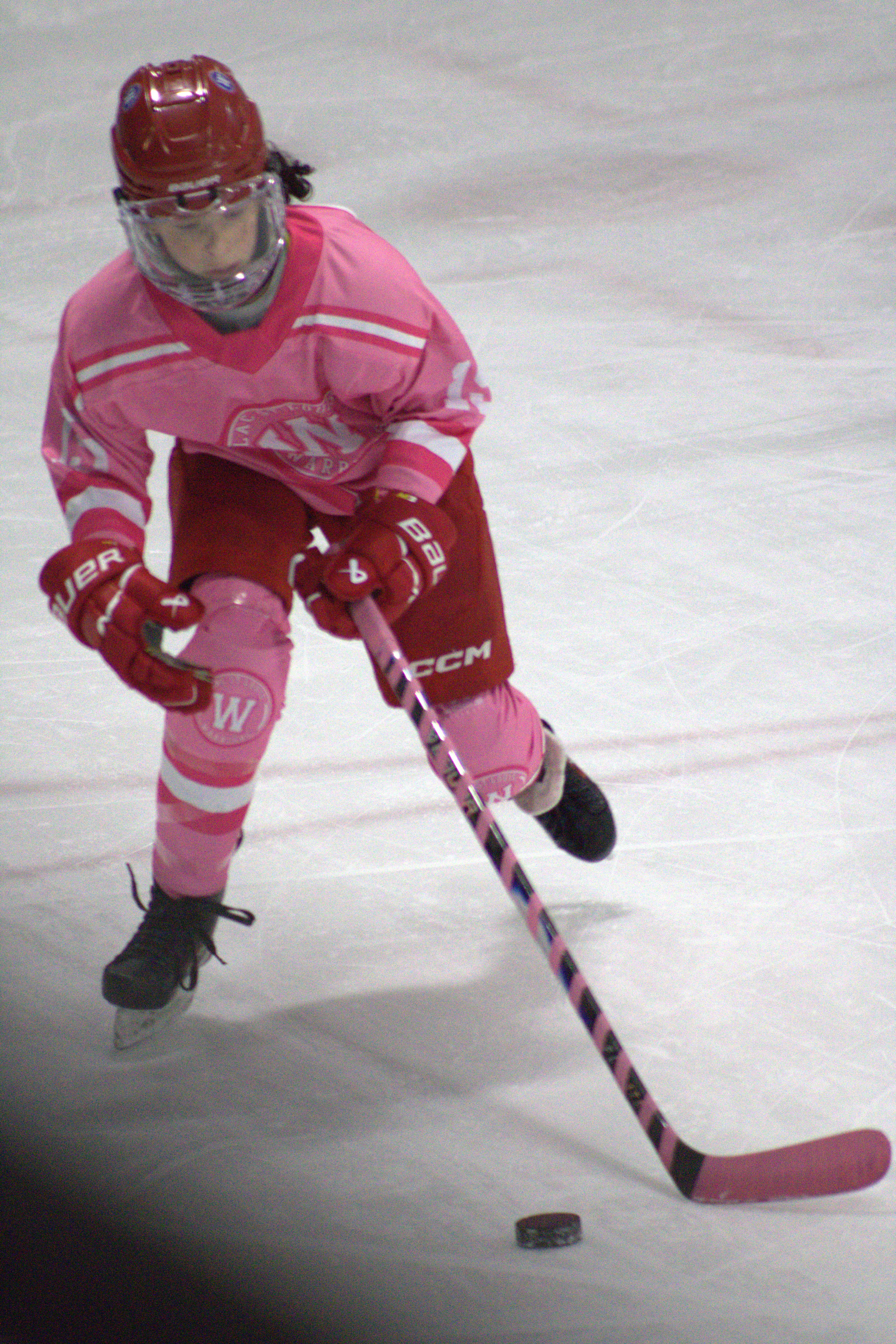 Pink in the Rink photo 23