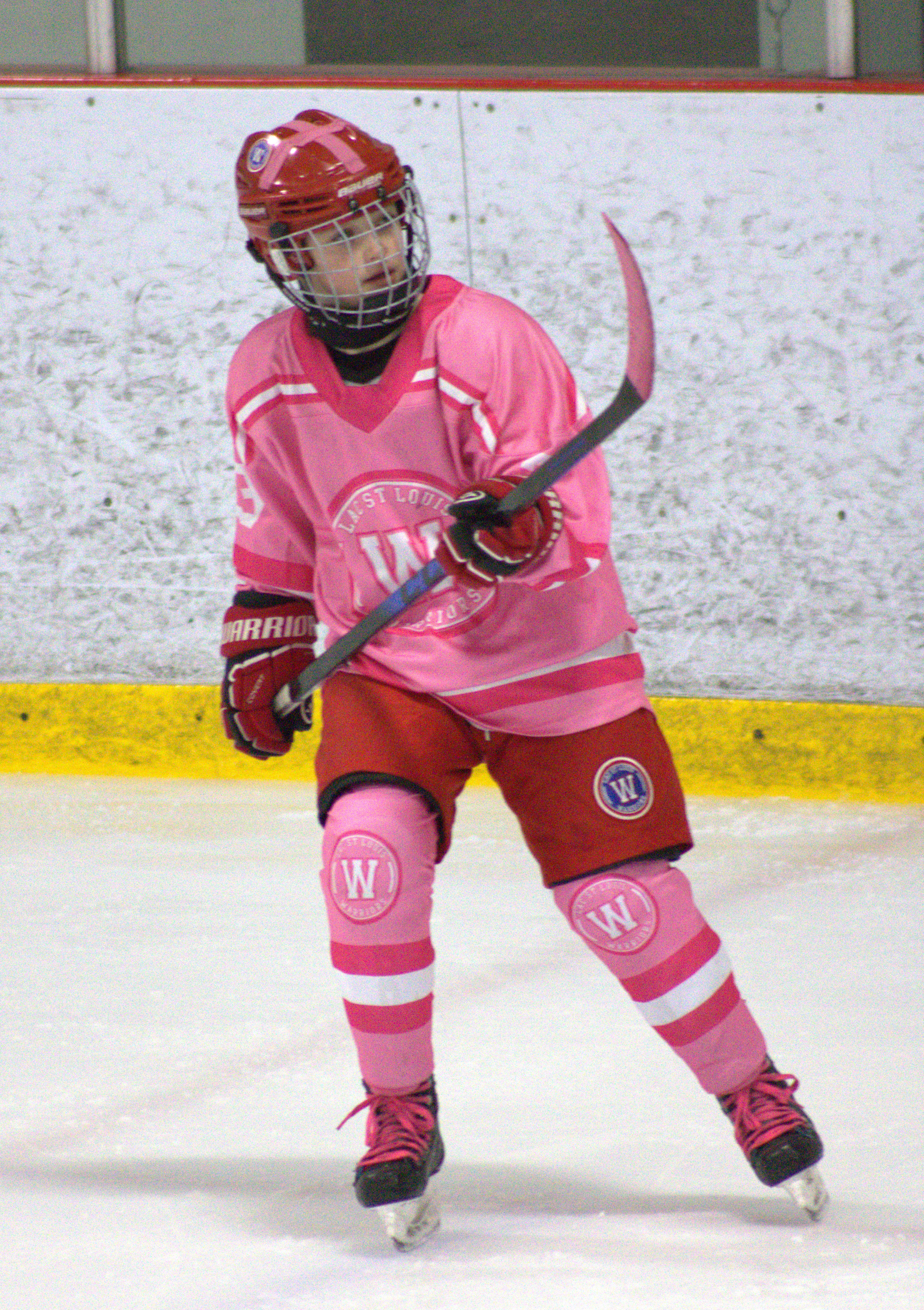 Pink in the Rink photo 3