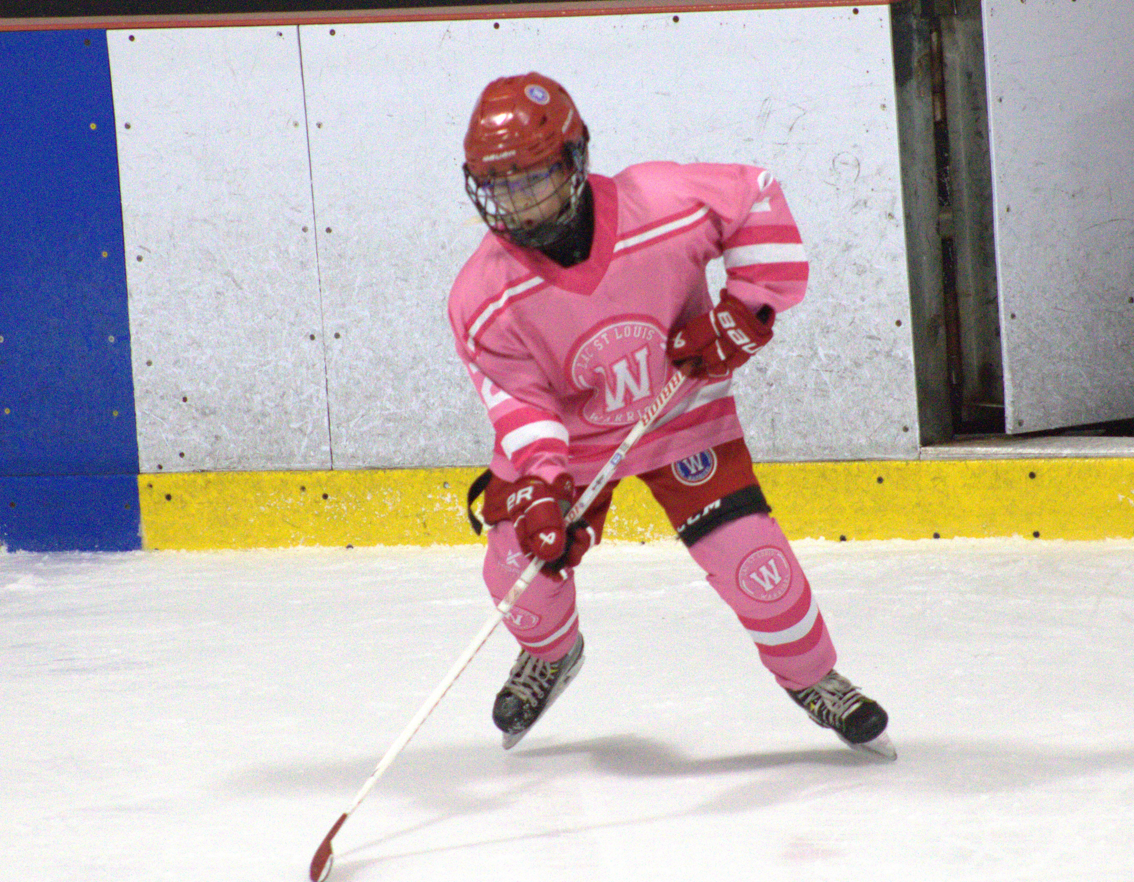 Pink in the Rink photo 33
