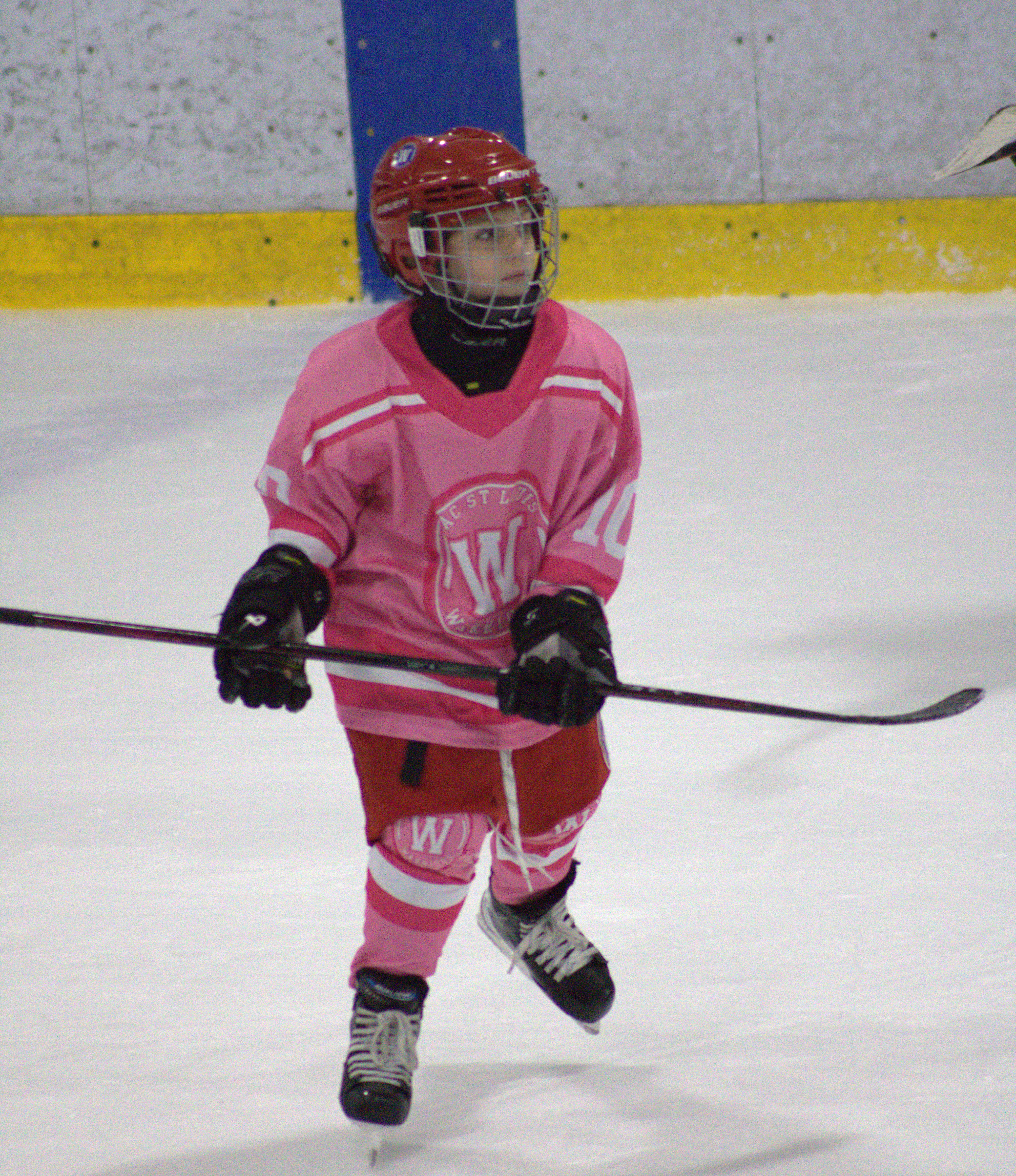 Pink in the Rink photo 34