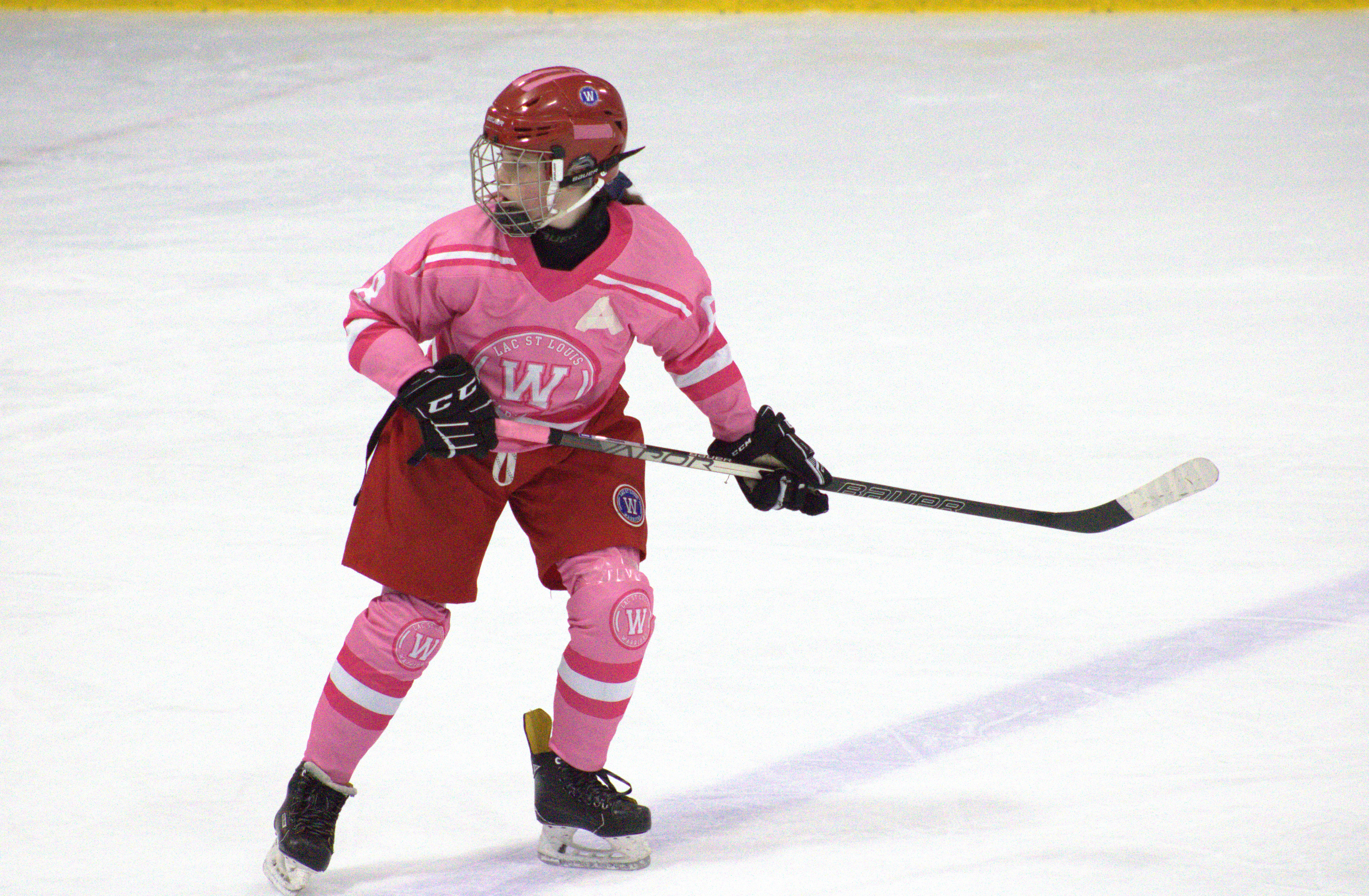 Pink in the Rink photo 35