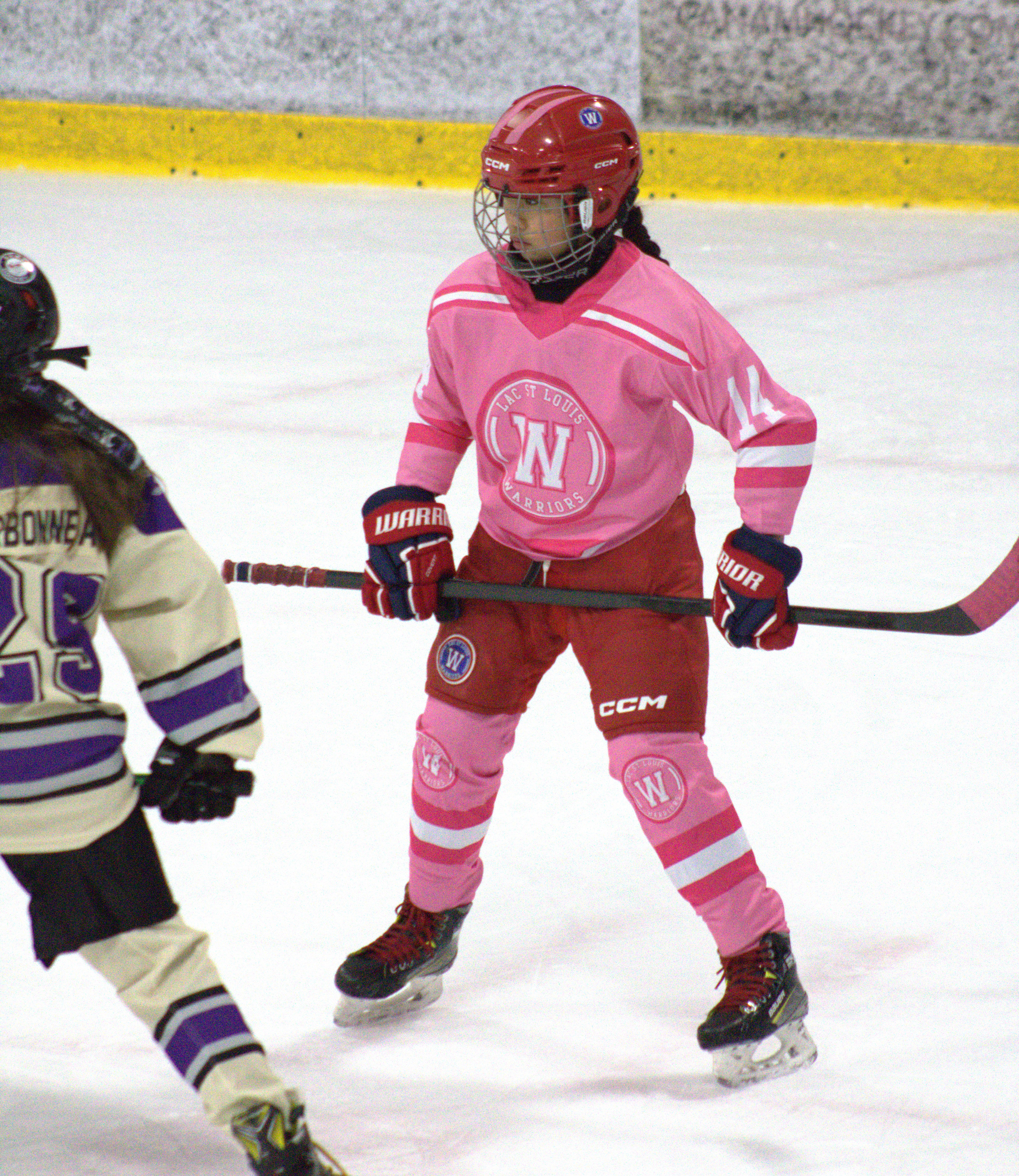 Pink in the Rink photo 39