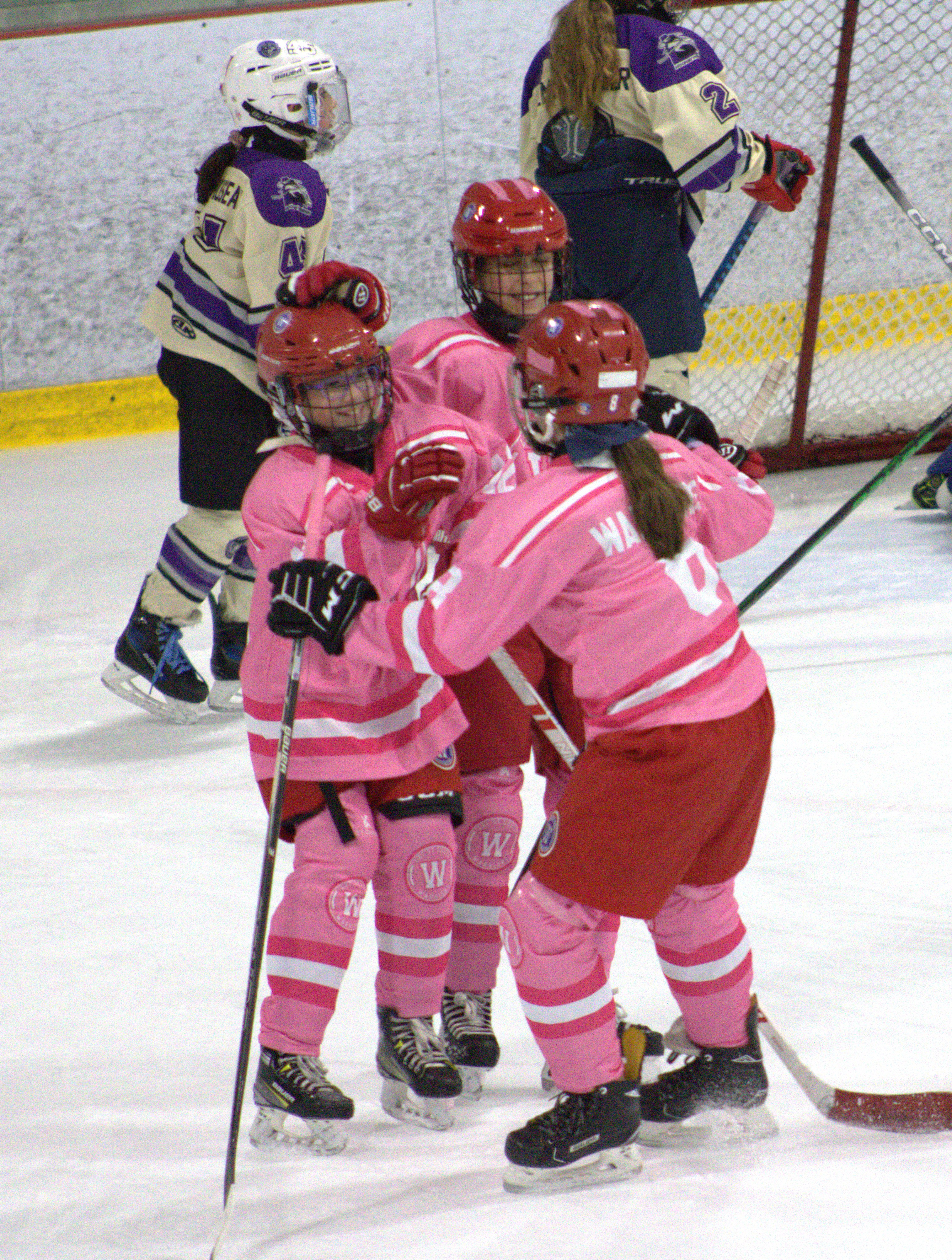 Pink in the Rink photo 40